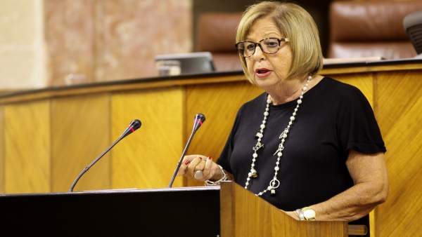 La consejera de Educación, Adelaida de la Calle, en el Pleno del Parlamento La consejera de Educación, Adelaida de la Calle, en el Pleno del Parlamento