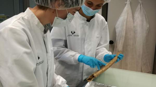 Las doctoras Baeta y Palencia trabajando con restos óseos de la fosa de Porreres Las doctoras Baeta y Palencia trabajando con restos óseos de la fosa de Porreres