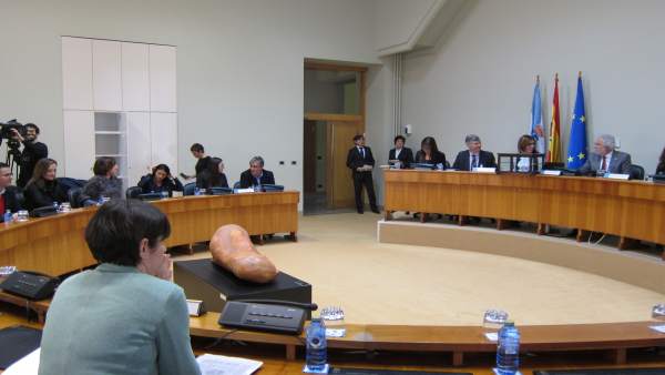 Constituida la comisión de las cajas en el Parlamento de Galicia. Constituida la comisión de las cajas en el Parlamento de Galicia.