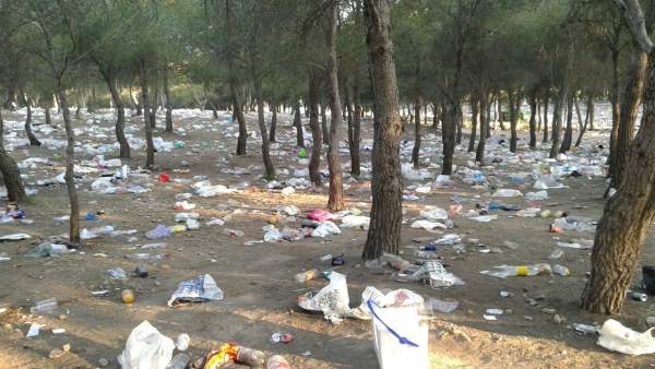 Estado de los Pinares de Venecia de Zaragoza tras la celebración de 'San Pepe' Estado de los Pinares de Venecia de Zaragoza tras la celebración de 'San Pepe'
