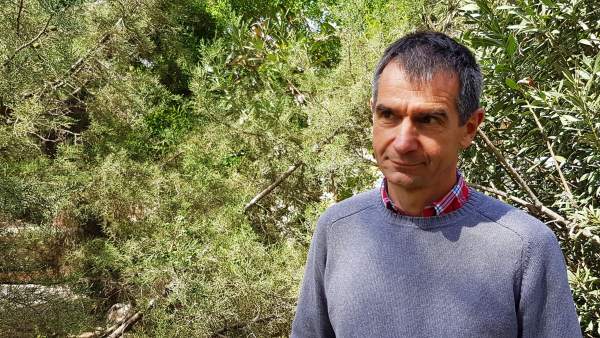 Botànics de les Universitats de València i Almeria descobrixen un nou gènere de plantes vasculars en la península Botànics de les Universitats de València i Almeria descobrixen un nou gènere de plantes vasculars en la península