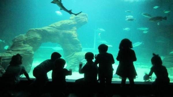 Talleres para niños en el Museo Marítimo del Cantábrico Talleres para niños en el Museo Marítimo del Cantábrico
