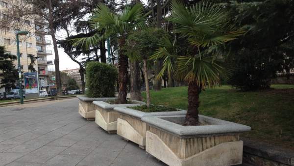 Salamanca: Maceteros preventivos que se instalarán en las procesiones Salamanca: Maceteros preventivos que se instalarán en las procesiones
