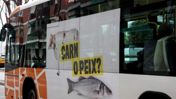 Imagen del autobús urbano de la campaña 'Sant Boi es diverso' contra la homofóbia. Imagen del autobús urbano de la campaña 'Sant Boi es diverso' contra la homofóbia.