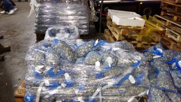 Decomiso mercamálaga conchas marisco pescado inspección pesquera pesca interveni Decomiso mercamálaga conchas marisco pescado inspección pesquera pesca interveni