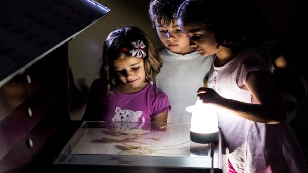 Actividad nocturna en el Museo de la Naturaleza y el Hombre Actividad nocturna en el Museo de la Naturaleza y el Hombre