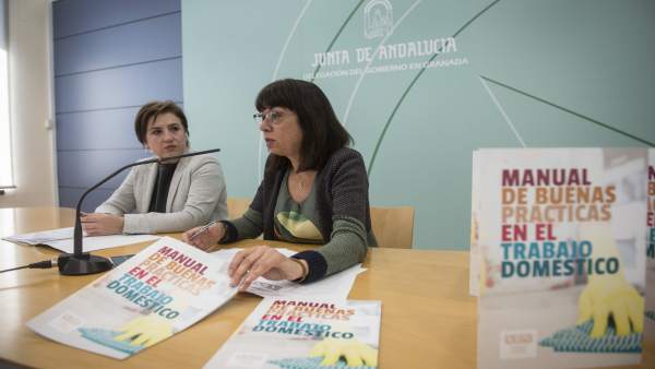 Presentación del manual sobre trabajo doméstico Presentación del manual sobre trabajo doméstico