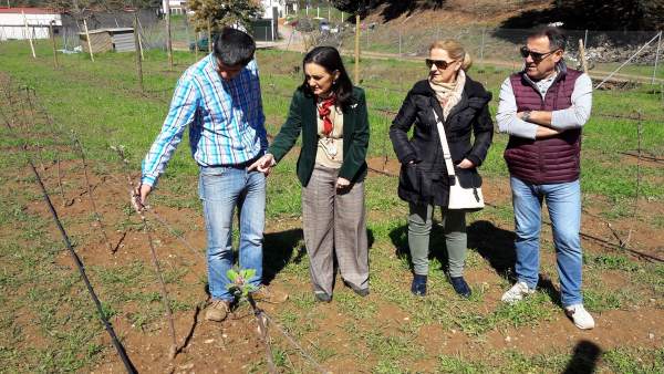 Visita de la subdelegada del Gobierno, Asunción Grávalos, en Galaroza. Visita de la subdelegada del Gobierno, Asunción Grávalos, en Galaroza.