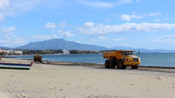 Playas estepona semana santa puesta a punto demarcación costas litoral obras Playas estepona semana santa puesta a punto demarcación costas litoral obras