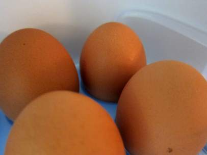 Huevos