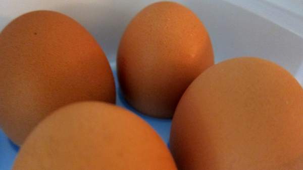 Huevos Huevos