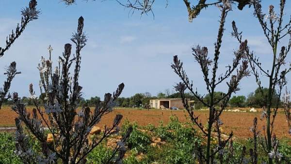 Casa donde han encontrado a una madre y su hija ahorcadas Casa donde han encontrado a una madre y su hija ahorcadas