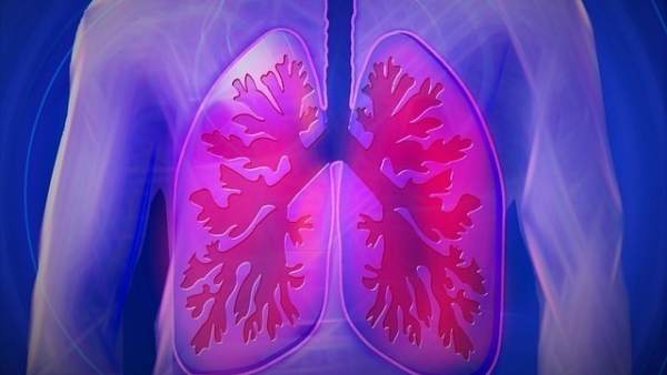 Imagen de los pulmones Imagen de los pulmones