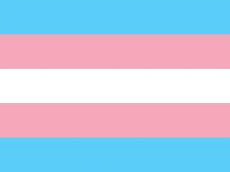 Bandera Transexual