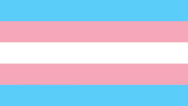 Bandera Transexual Bandera Transexual