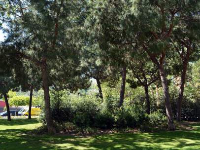 Apuesta por los trabajos de jardinería a mano o con maquinaria para proteger la salud de los ciudadanos que disfrutan de las zonas verdes.