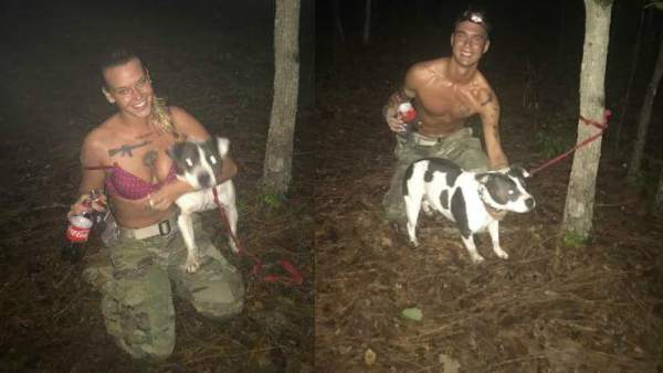 El pitbull El pitbull