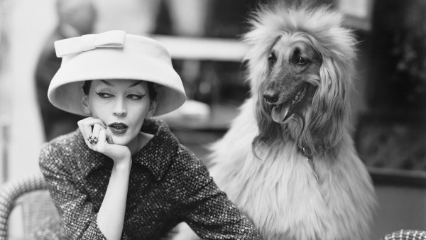 Dovima with Sacha, cloche and suit by Balenciaga, Café des Deux Magots, Paris, 1955. Photograph by Richard Avedon Dovima with Sacha, cloche and suit by Balenciaga, Café des Deux Magots, Paris, 1955. Photograph by Richard Avedon