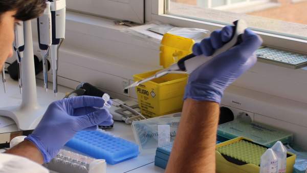AECC València llança una nova edició de les seues beques a jóvens investigadors en càncer AECC València llança una nova edició de les seues beques a jóvens investigadors en càncer