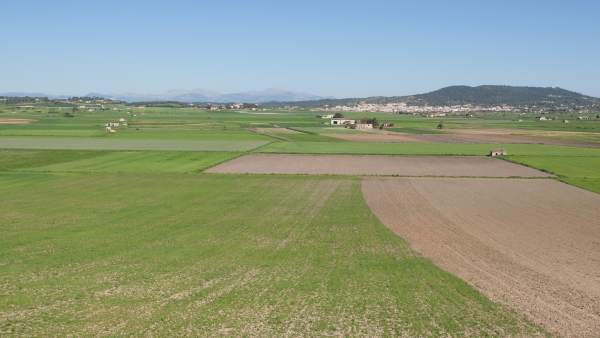 Pla de Vilafranca Pla de Vilafranca