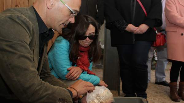 El conseller de Exteriores Raül Romeva con restos óseos de la Guerra Civil El conseller de Exteriores Raül Romeva con restos óseos de la Guerra Civil