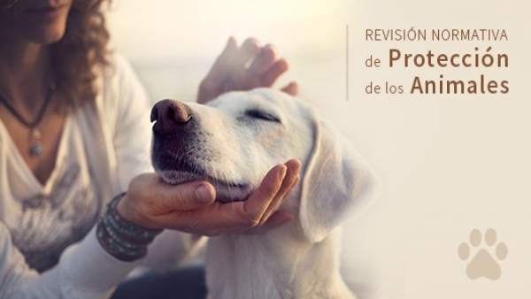 Ley de Protección de Animales Ley de Protección de Animales