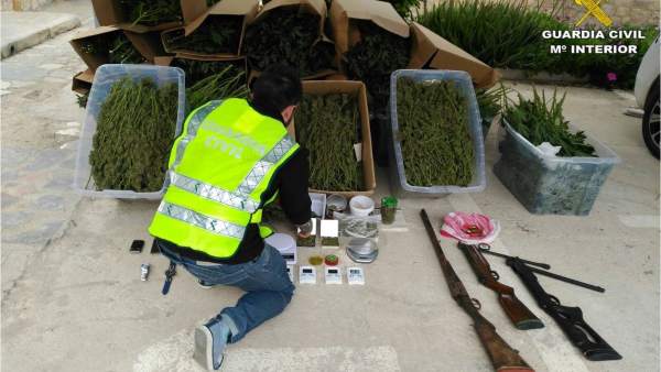 La mayoría de los arrestados residían en Elche La mayoría de los arrestados residían en Elche