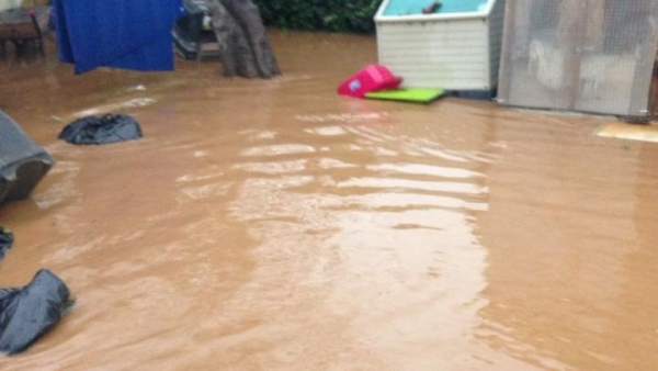 Mijas protectora inundaciones 2016 riadas temporal Mijas protectora inundaciones 2016 riadas temporal