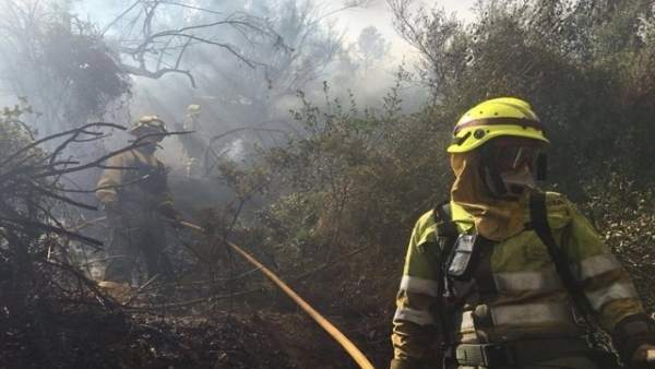 El fuego calcinó más de 1.500 hectáreas El fuego calcinó más de 1.500 hectáreas