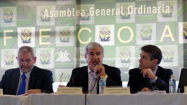 XXXII Asamblea General de Fecoam XXXII Asamblea General de Fecoam