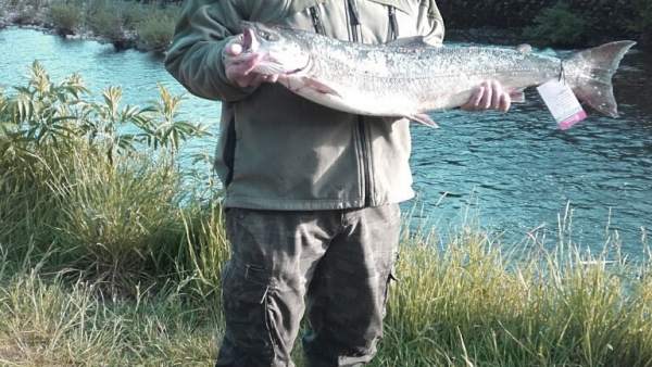 Ignacio Zalakin pesa el primer salmón de la temporada 2017 en el Bidasoa. Ignacio Zalakin pesa el primer salmón de la temporada 2017 en el Bidasoa.