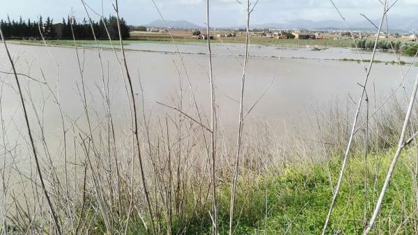 Los campos del Pla de Mallorca inundados tras el temporal Los campos del Pla de Mallorca inundados tras el temporal