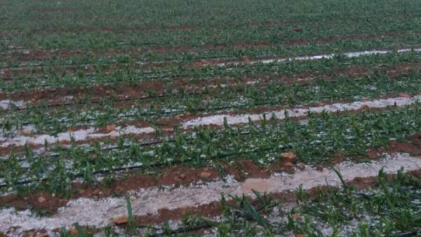Granizo Granizo