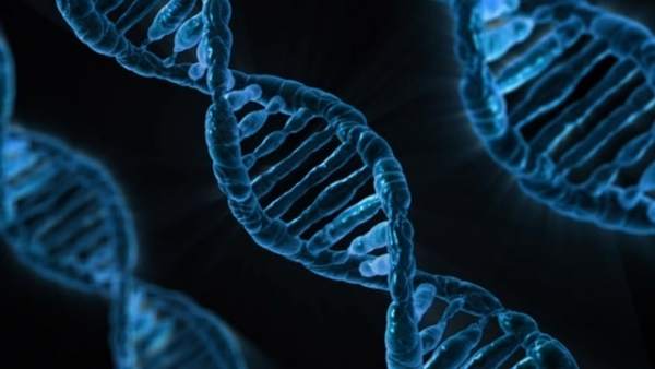 Genes Genes