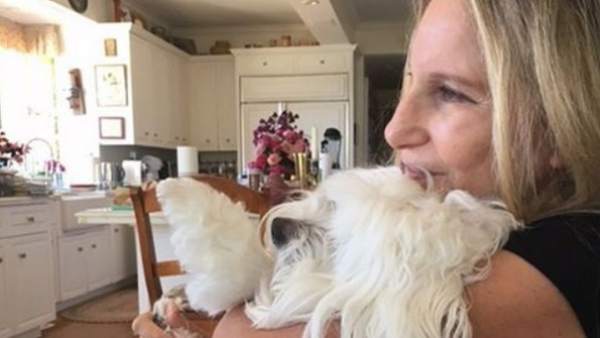 Barbra Streisand y su mascota Barbra Streisand y su mascota