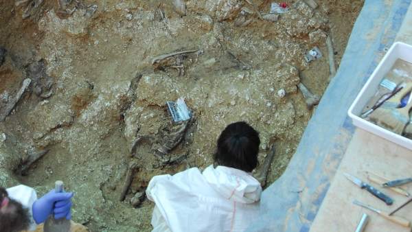 Hallan al menos 12 cuerpos en la fosa 113 del Cementerio de Paterna Hallan al menos 12 cuerpos en la fosa 113 del Cementerio de Paterna