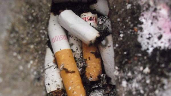 Colillas de Tabaco Colillas de Tabaco