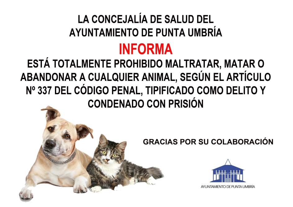 El Ayuntamiento de Punta Umbría activa