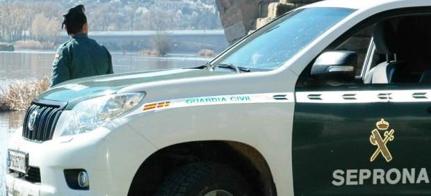 Agentes del Seprona