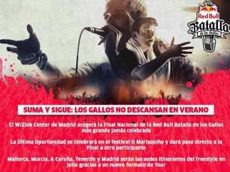 RED BULL BATALLA DE LOS GALLOS