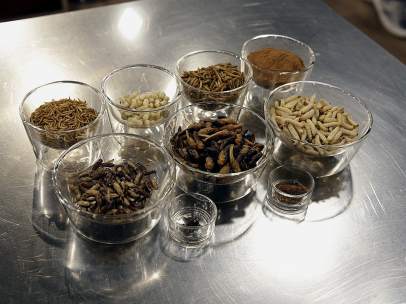 Insectos como ingredientes de cocina