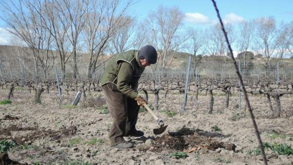 Trabajador agrario, trabajo agrario, cultivar, cultivo, cultivando, cultivos Trabajador agrario, trabajo agrario, cultivar, cultivo, cultivando, cultivos