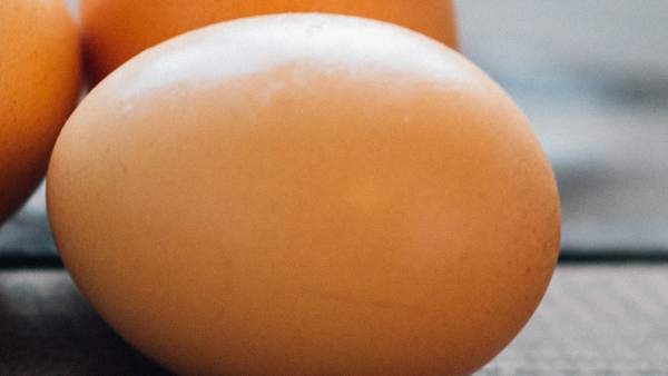 Huevos Huevos