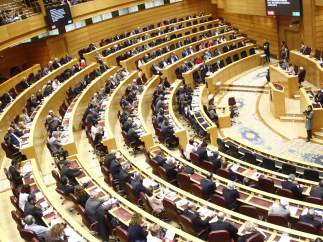 Senado