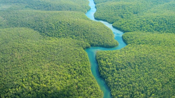 Río amazonas térmica Río amazonas térmica