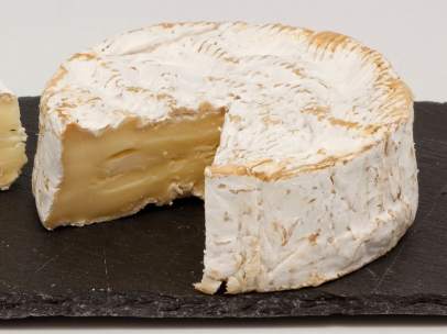 Queso camembert
