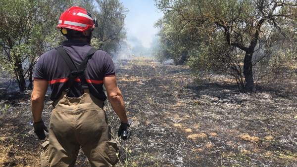 Incendio sofocado en Bormujos. Incendio sofocado en Bormujos.