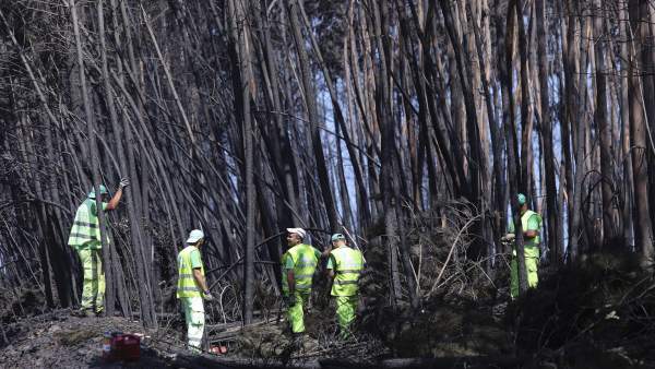 Incendio Incendio