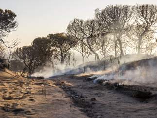 Incendio Doñana, Cuesta Maneli