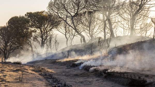Incendio Doñana, Cuesta Maneli
Incendio Doñana, Cuesta Maneli
